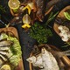 Fischbuffet